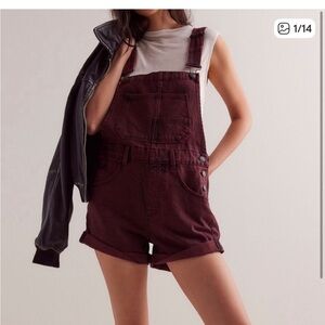 We The Free Ziggy Denim Overalls